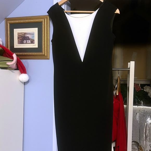 DONNA RICCO BLACK AND WHITE LINED KNEE LENGTH DRESS SIZE 4 - Picture 1 of 5